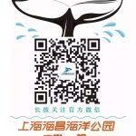 上海海昌海洋公园